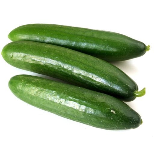 Hıyar Fidesi
